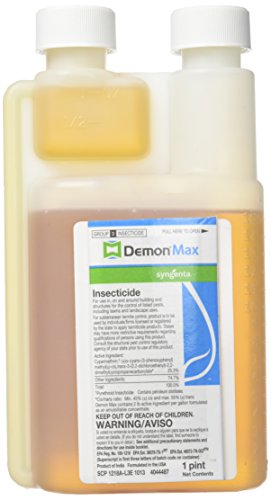 Demon Max — label and mixing directions