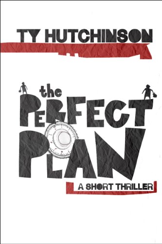 The Perfect Plan book cover