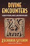 Divine Encounters A Guide To Visions Angels And Other Emissaries