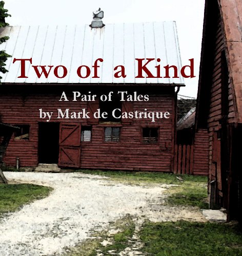 Two of a Kind book cover