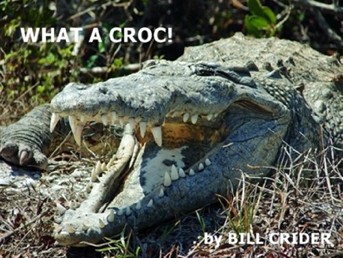 What a Croc! book cover