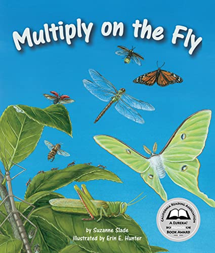 Multiply on the Fly book cover