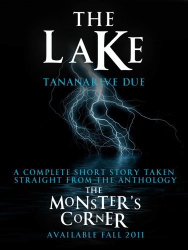The Lake book cover