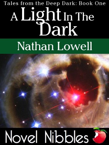 A Light in the Dark book cover