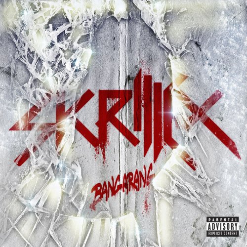 Bangarang performed by Skrillex
