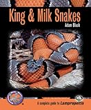 King Milk Snakes Complete Herp Care English Edition