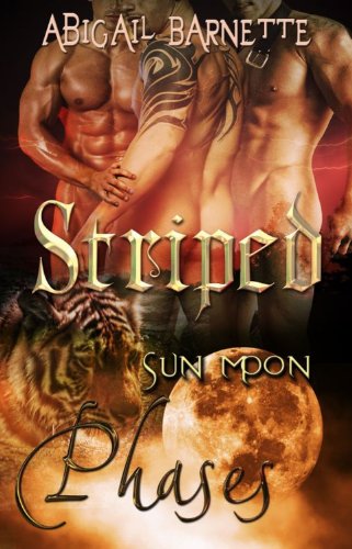 Striped book cover