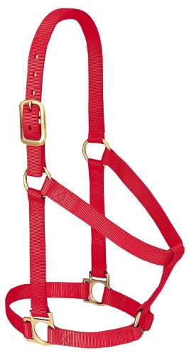 Weaver Leather Basic Non-Adjustable Nylon Horse Halter, Red, 1" Small Horse