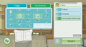 Wii Fit Plus bundle