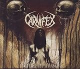 Until I Feel Nothing (2011)