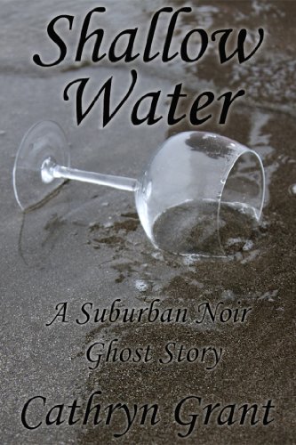 Shallow Water book cover