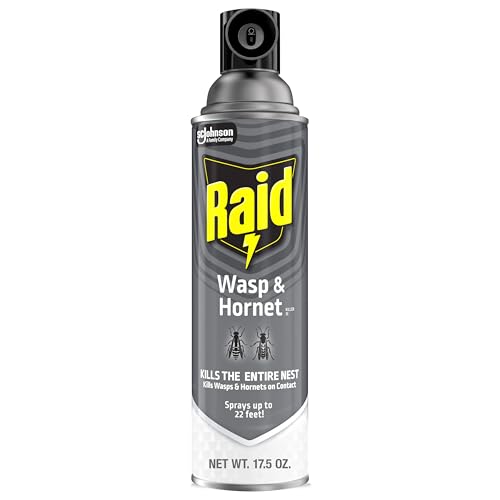 Raid Wasp And Hornet Killer Spray Kills The Entire Nest For Paper
