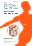 Digestion And Nutrition Human Body How It Works