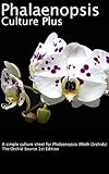 Phalaenopsis Culture Plus