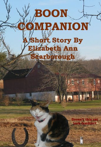 Boon Companion cover