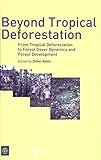 Beyond Tropical Deforestation From Tropical Deforestation To Forest Cover Dynamics And Forest Development English Edition