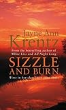 Sizzle And Burn Number 3 In Series Arcane Society English Edition