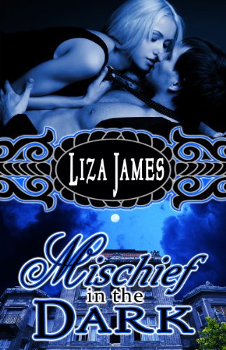 Mischief In the Dark book cover