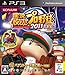 実況パワフルプロ野球2011 決定版版