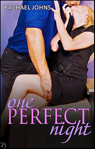 One Perfect Night book cover