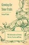 Growing The Stone Fruits With Information On Growing Cherries Peaches And Plums English Edition