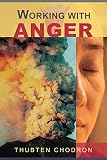 Working With Anger English Edition