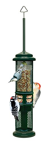 Bd1052Squirrel Buster Peanut Plus (628209010523)