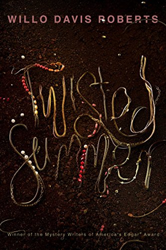 Twisted Summer book cover