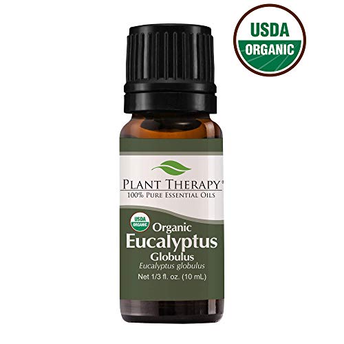 Plant Therapy Organic Eucalyptus Globulus Essential Oil