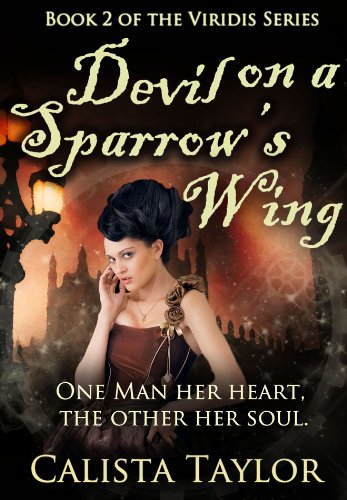 Devil on a Sparrow's Wing book cover