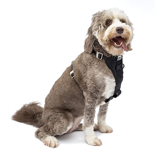 Kurgo Tru-Fit Smart Harness with Steel Nesting Buckle & Seatbelt Tether