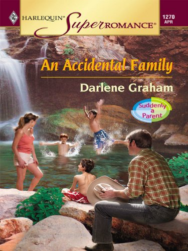 An Accidental Family book cover