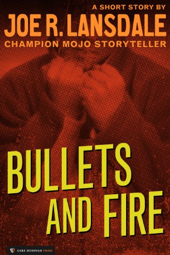 Bullets and Fire book cover