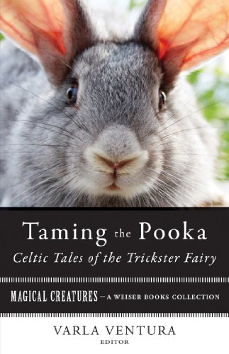 Taming the Pooka, Celtic Tales of the Trickster Fairy book cover