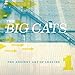 Song Back To The City by The Big Cats on The Ancient Art Of Leaving: High &amp; Low at Amazon