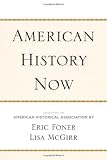 American History Now Critical Perspectives On The P English Edition