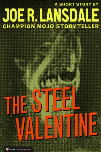 The Steel Valentine book cover