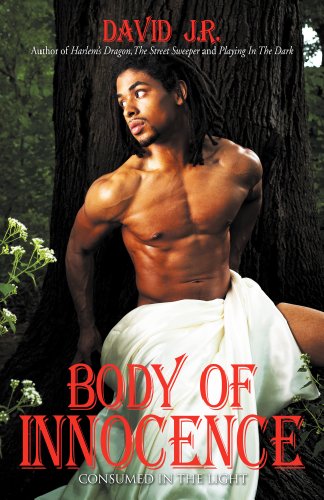 Body of Innocence book cover