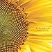 Song For Rosa by Windy and Carl on We Will Always Be at Amazon