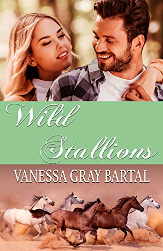 Wild Stallions book cover