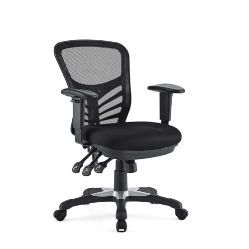 Ergonomic Office Chairs