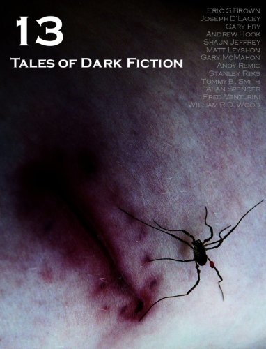 13: Tales of Dark Fiction book cover