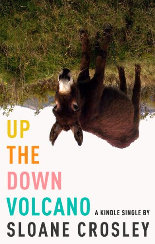 Up the Down Volcano book cover