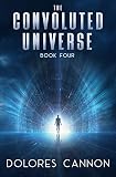 The Convoluted Universe Book Four English Edition