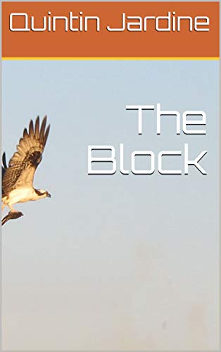 The Block book cover