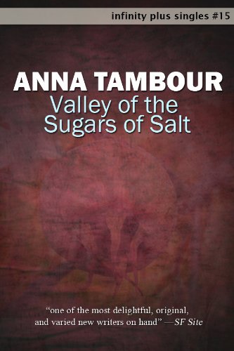 Valley of the Sugars of Salt (By: Anna Tambour) cover