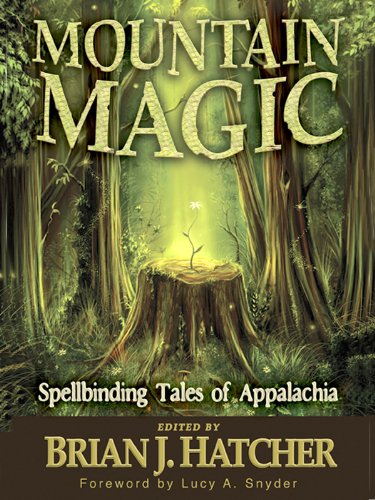 Mountain Magic book cover