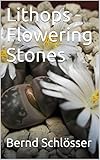 Lithops Flowering Stones