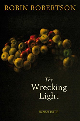 The Wrecking Light book cover