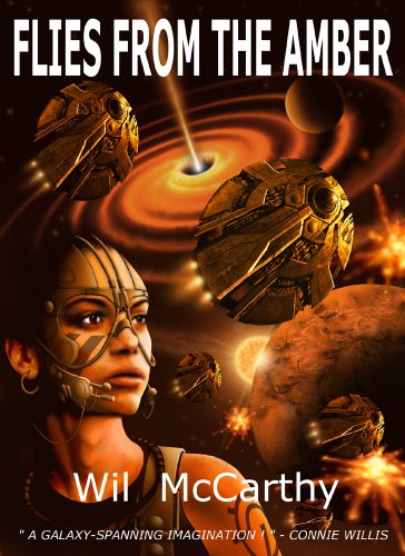 Flies from the Amber book cover